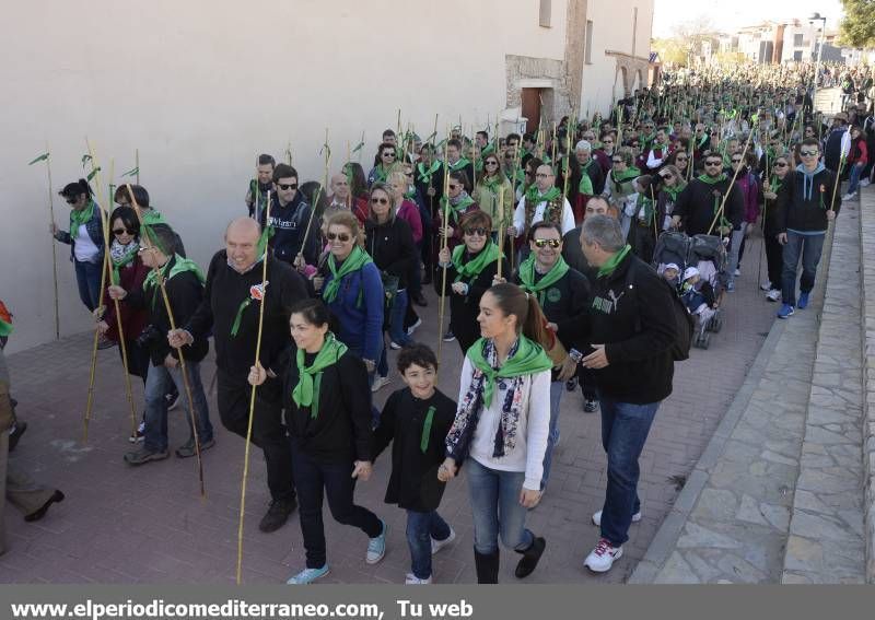 GALERÍA DE FOTOS - Romería Magdalena 2014 (5)