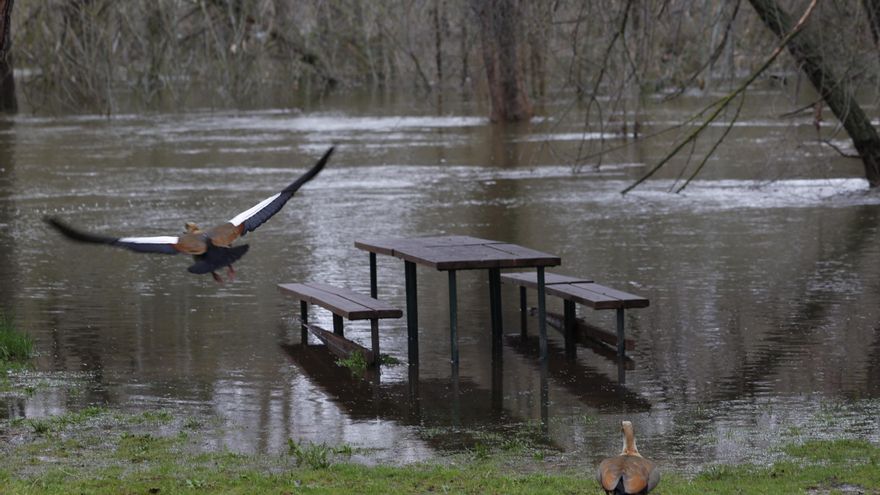 Riesgo de desbordamiento del río Manzanares en Madrid