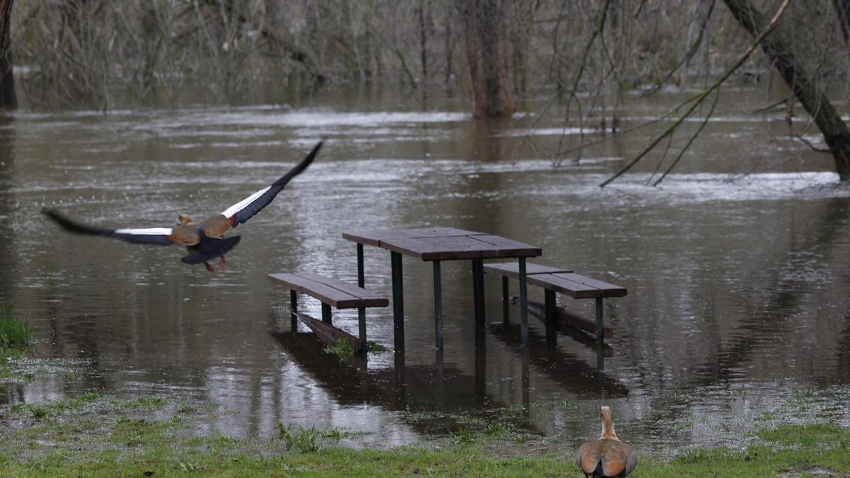 Riesgo de desbordamiento del río Manzanares en Madrid