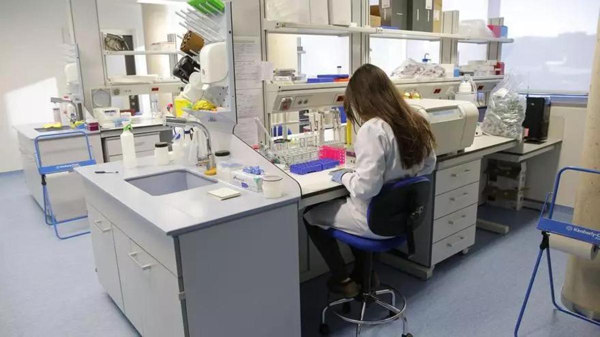 Una investigadora realiza análisis clínicos en el laboratorio del Incliva, junto al Hospital Clínico de València.