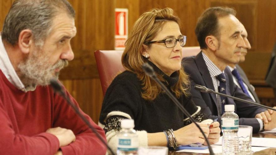 Mayte Martín Pozo durante el Pleno de aprobación de los presupuestos de 2019.