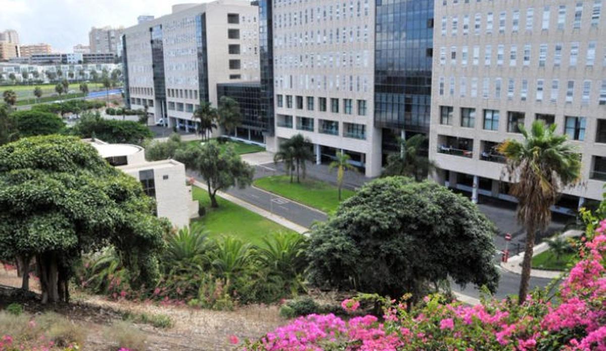 Canarias registra este martes 138 casos activos de coronavirus