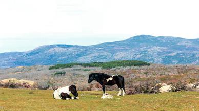 Valle del Jerte, el corazón más salvaje