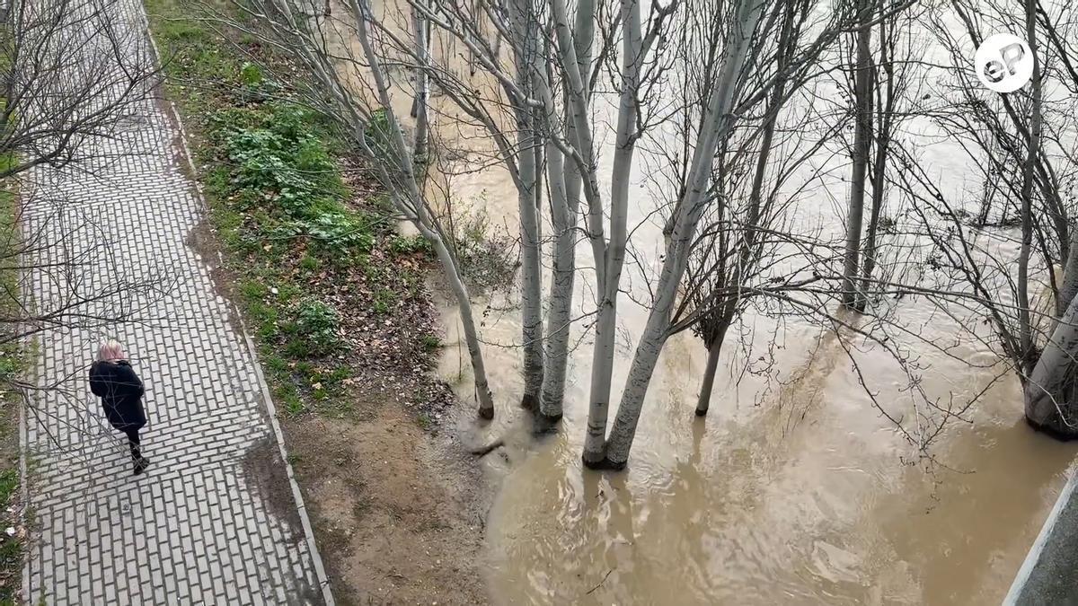 La crecida del Ebro llega a Zaragoza sin provocar afecciones importantes