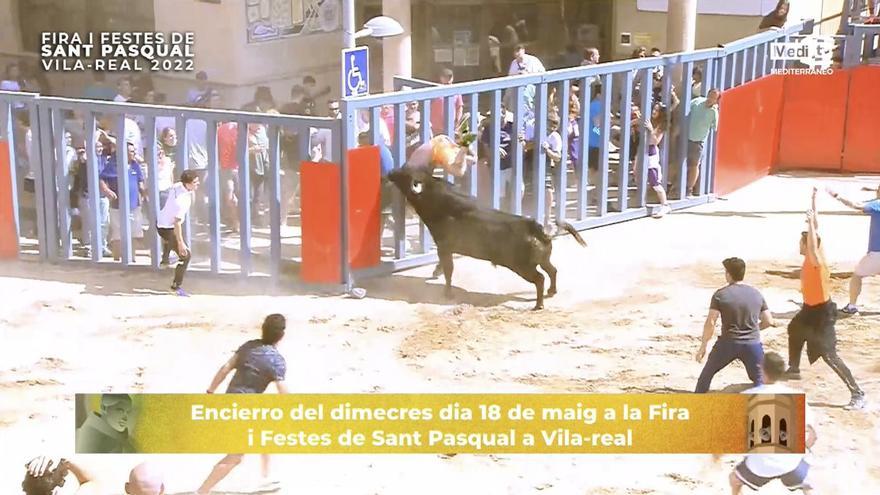 Aparatosa cogida en el encierro de Vila-real