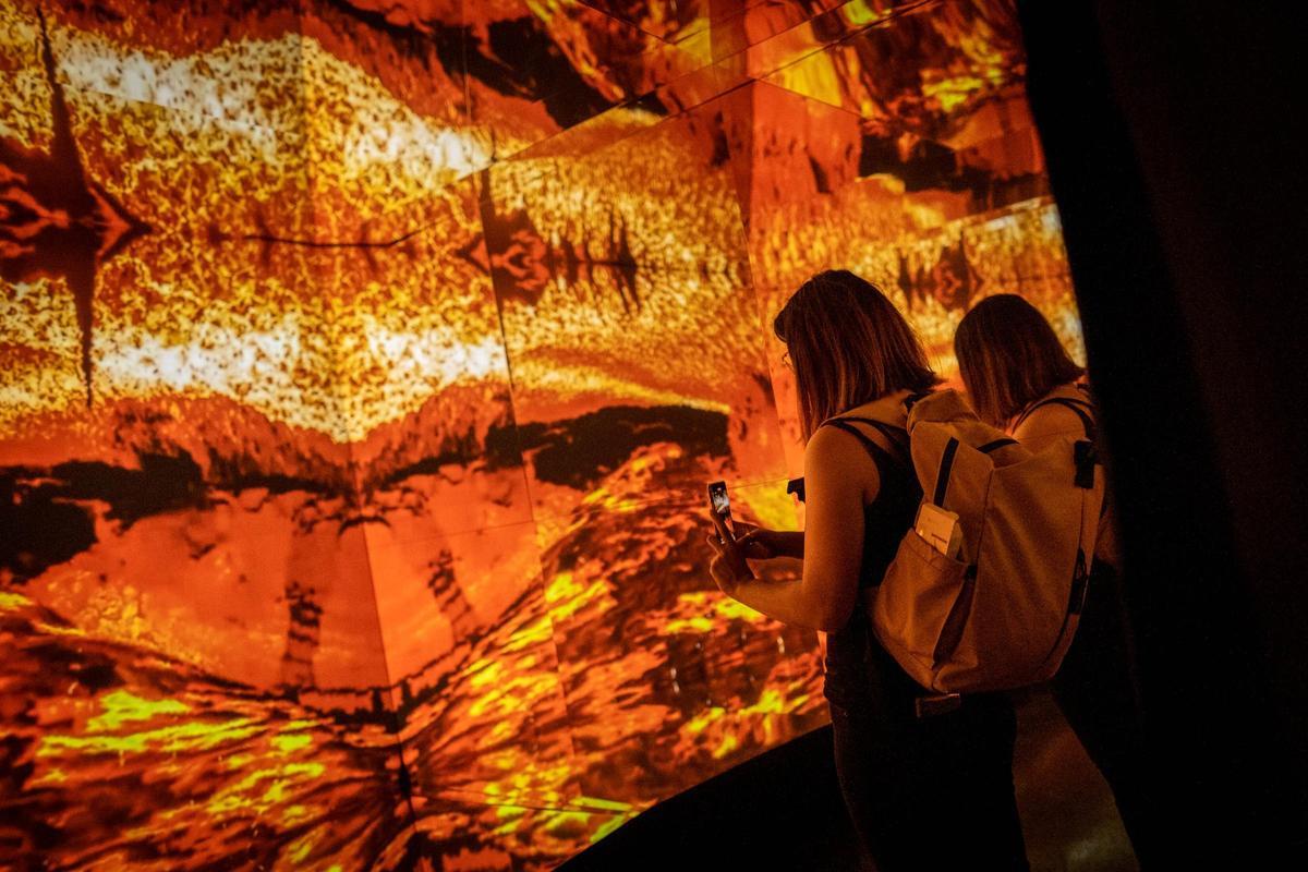 Inaguración exposición 'Ceniza y lava' Inaguración exposición 'Ceniza y lava'