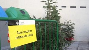 Mataró s’afegeix a la sostenibilitat amb el reciclatge d’arbres de Nadal