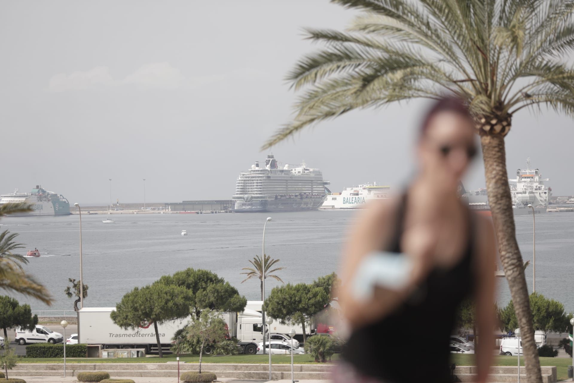 Vuelven los cruceristas a Palma