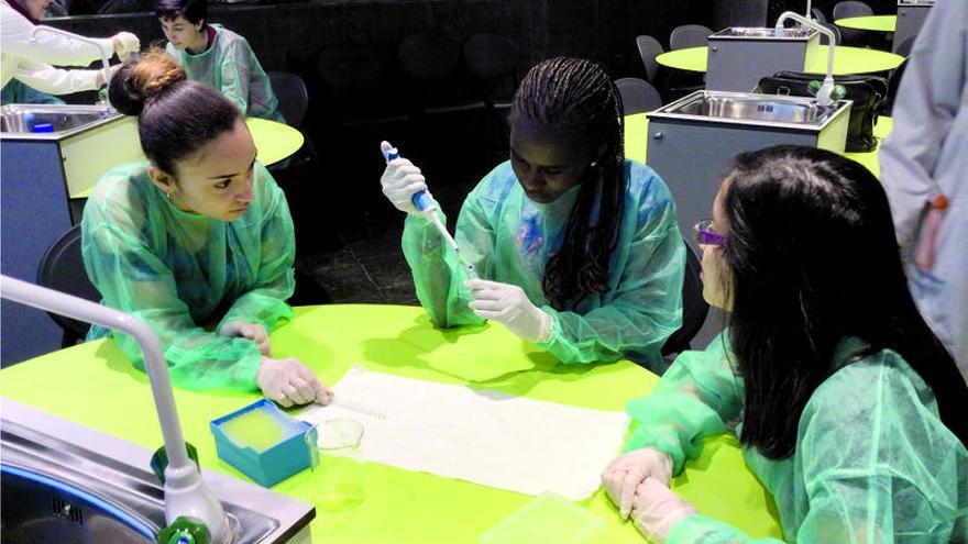 Alumnas participantes en el programa educativo realizan un experimento en la Domus.