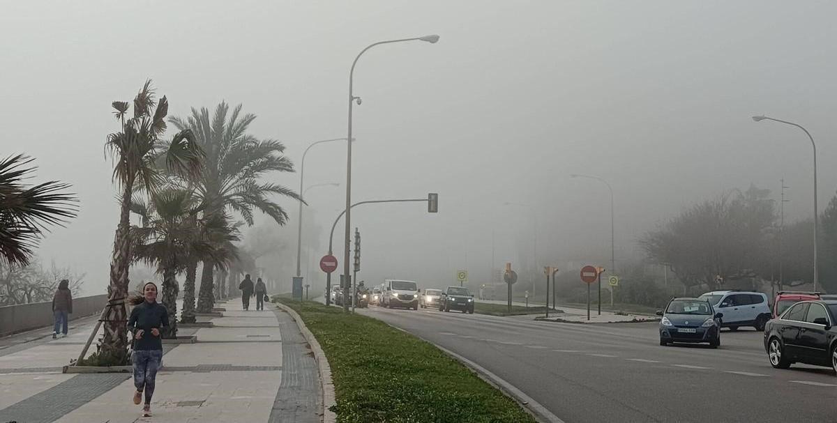 Der Paseo Marítimo in Palma im Nebel.