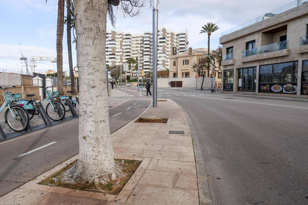 Alcorques vacíos en la calle Joan Maragall.