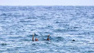 300 bañistas han muerto en diez años en Catalunya ahogados en playas y piscinas
