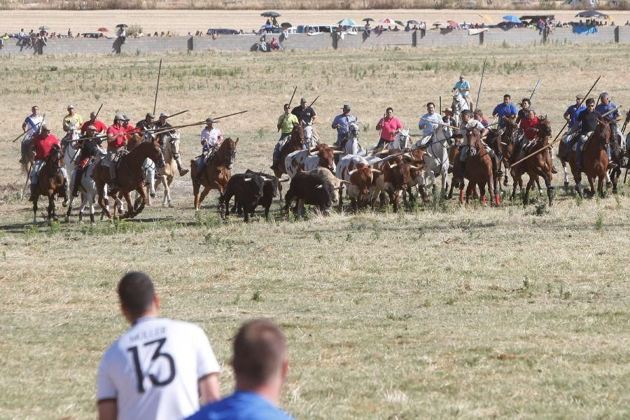 Fiestas en Zamora: Segudos espantes de Fuentesaúco