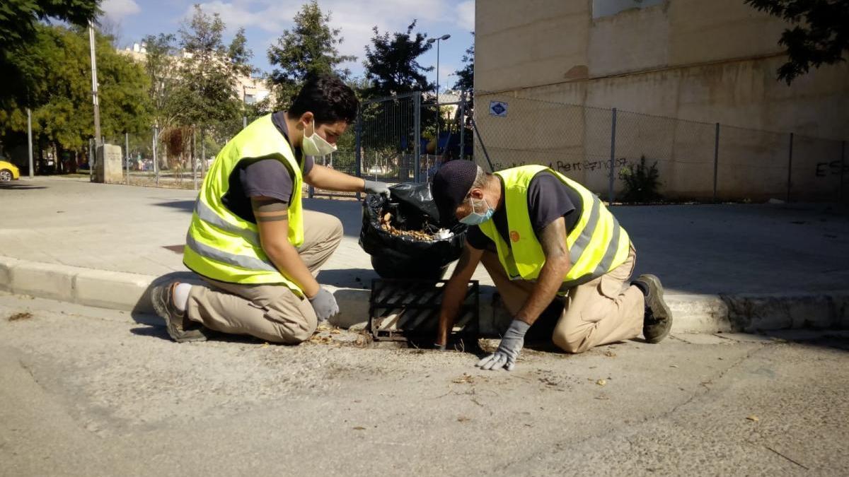 La brigada de servicios limpia las alcantarillas de Picassent