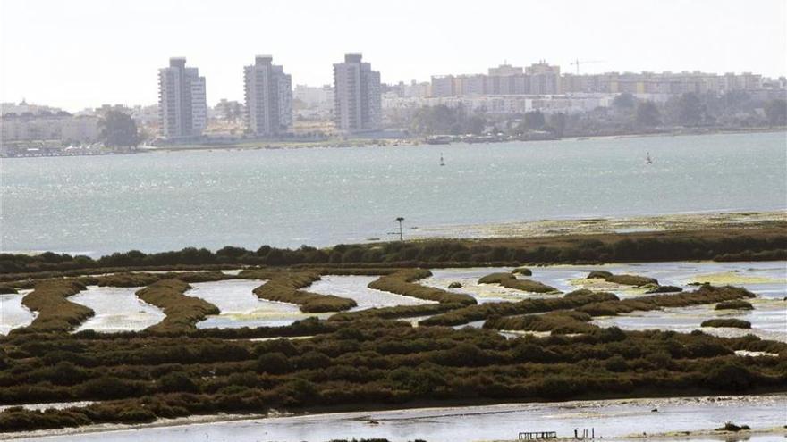 Trabajadores de Airbus quieren salvar una isla