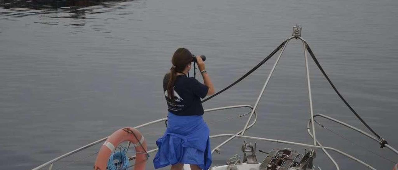 Seguimiento de mamíferos marinos entre las bateas de la ría de Arousa. // BDRI