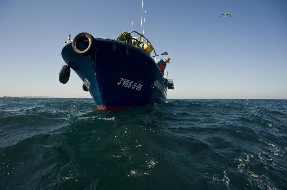 Primera jornada de pesca de pulpo en Arousa // I.Abella