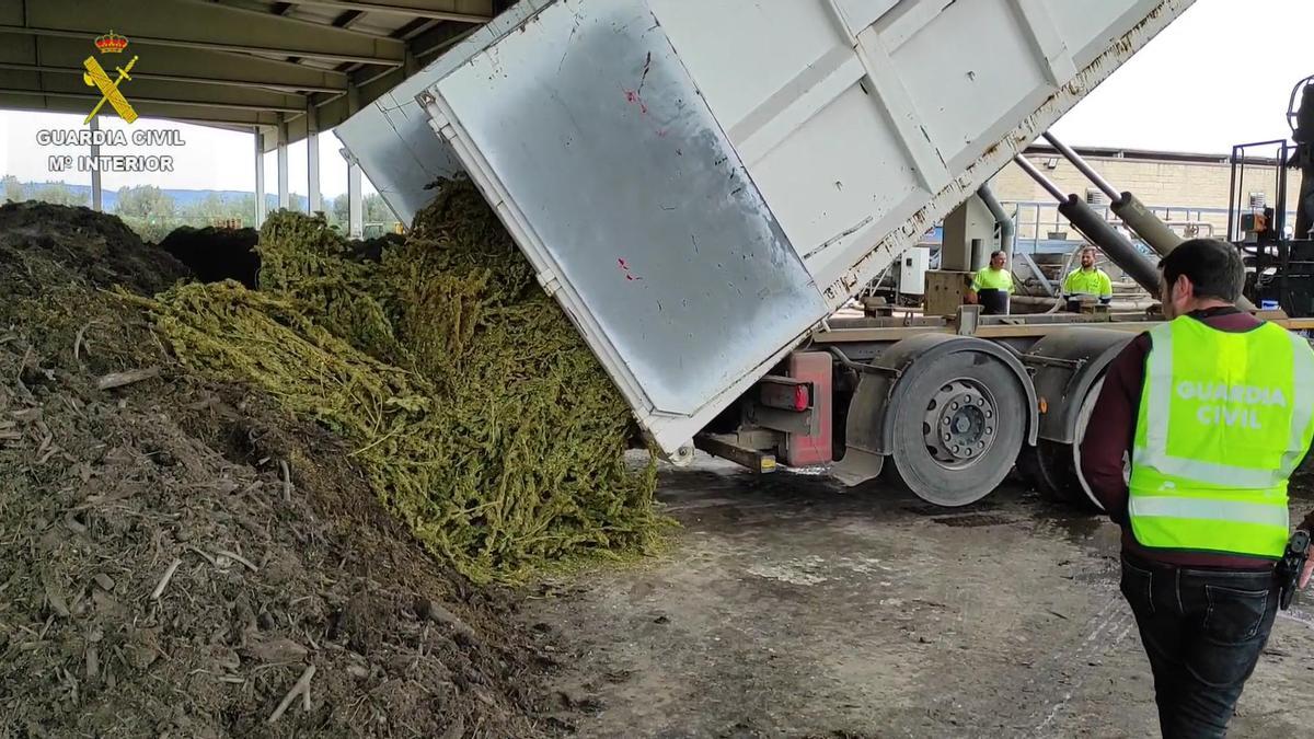 La Guàrdia Civil deté cinc membres d’una banda que va “abandonar” 12.500 quilos de marihuana en una finca d’Ontinyent