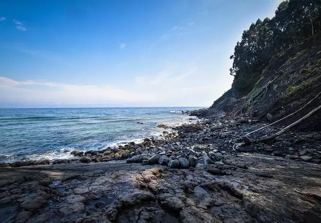 La costa donde caminar entre huellas de dinosaurios de hace más de 150 millones de años