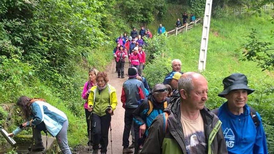 El grupo, en el descenso a La Pereda tras atravesar El Bullosu.