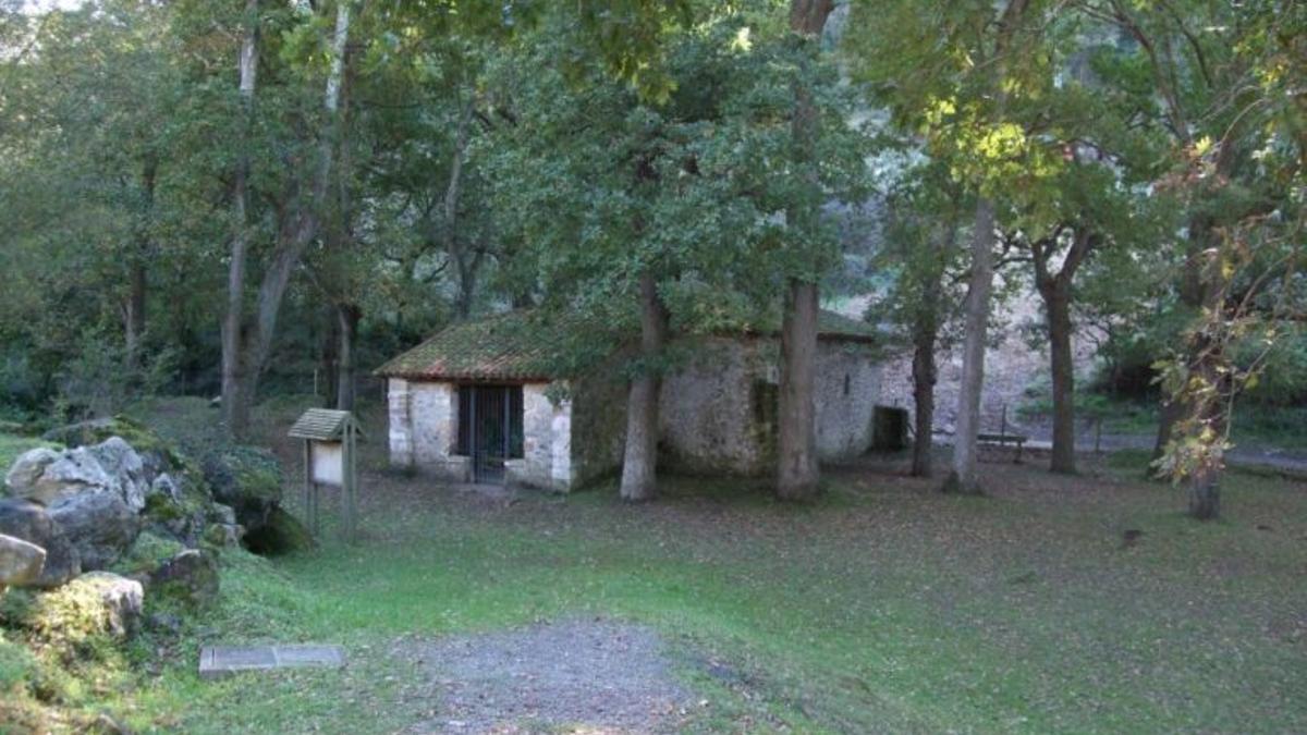 Los desconocidos bosques mágicos de Cantabria: un paseo por el mundo sin salir de la región