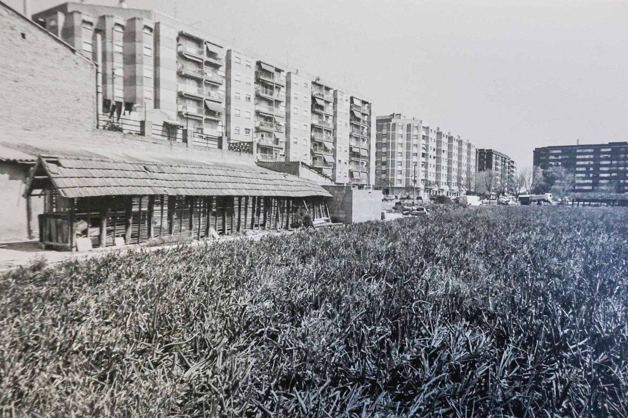 La Valencia desaparecida: Todo esto antes era huerta