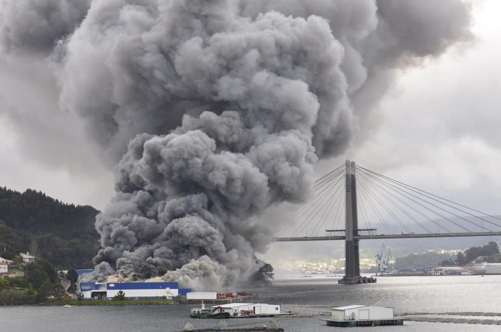 Un aparatoso incendio ha obligado a evacuar este lunes por la  tarde la nave de la empresa Fandicosta, en Moaña (Pontevedra),  dedicada al procesado de congelados del mar y situada en el lugar de  Verdeal, en la parroquia de Domaio, y una densa humareda cubre parte  de la ría, especialmente en la zona del puente de Rande.