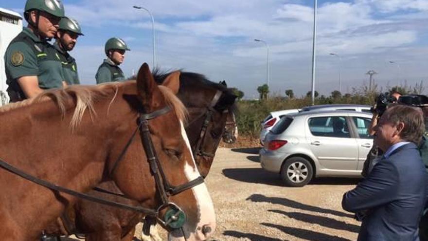 Los delitos en el campo se reducen un 38 % en dos años