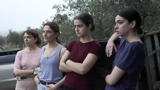 Crítica de 'Los tortuga': Pequeña diatriba contra el naturalismo