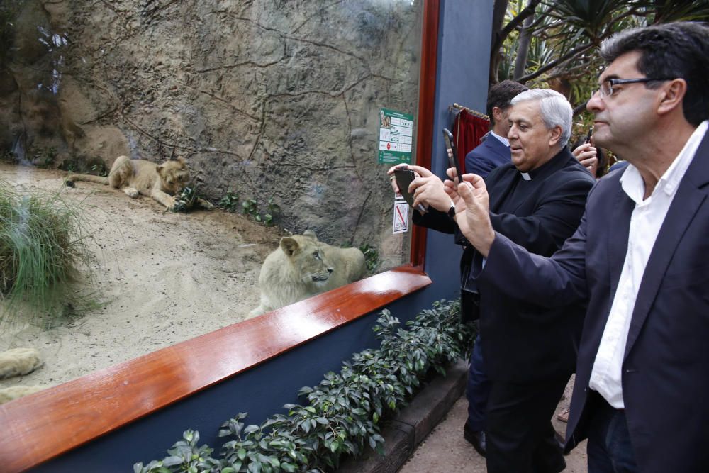 Delia Padrón Inauguración del Lion's Kingdom, la exhibición de los leones africanos, en Loro Parque