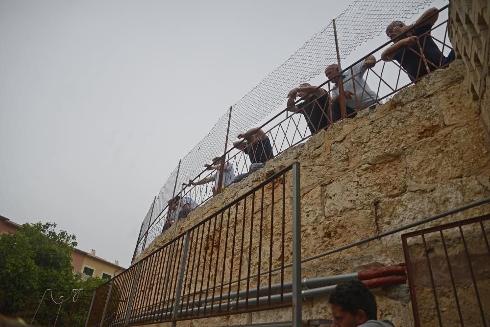 Los toros, en los corrales de La Monumental