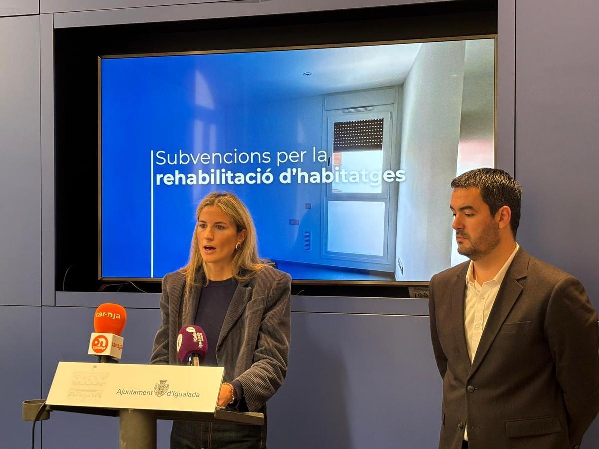 Subvencions Habitatges