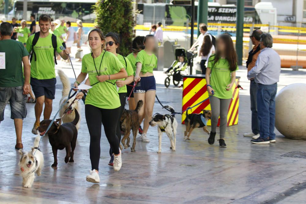 La carrera, con salida y llegada en la plaza de la Marina, ha recorrido la calle Larios, Alcazabilla y calle Granada ante la sorpresa e interés de vecinos y turistas.