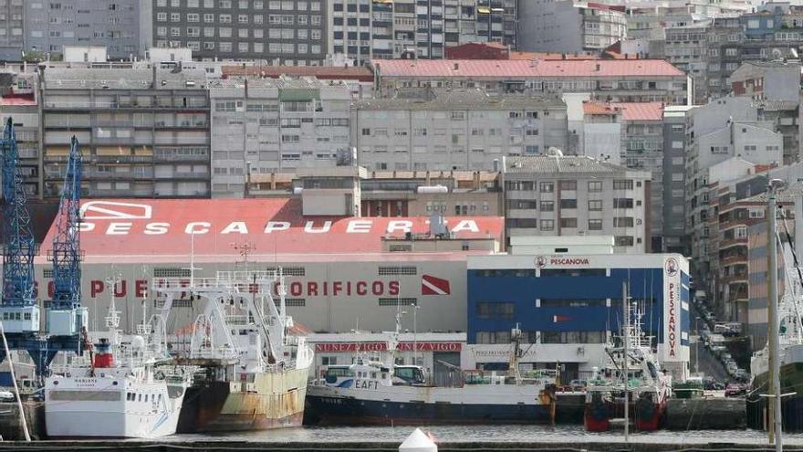 Pescapuerta vende su filial en Namibia pero blinda la importación a Europa  - Faro de Vigo