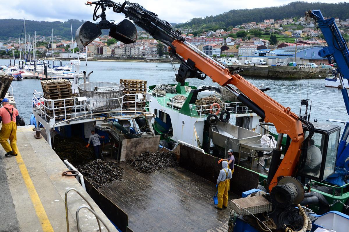 Bateeiros, ayer en el puerto de Bueu, durante los trabajos de descarga.