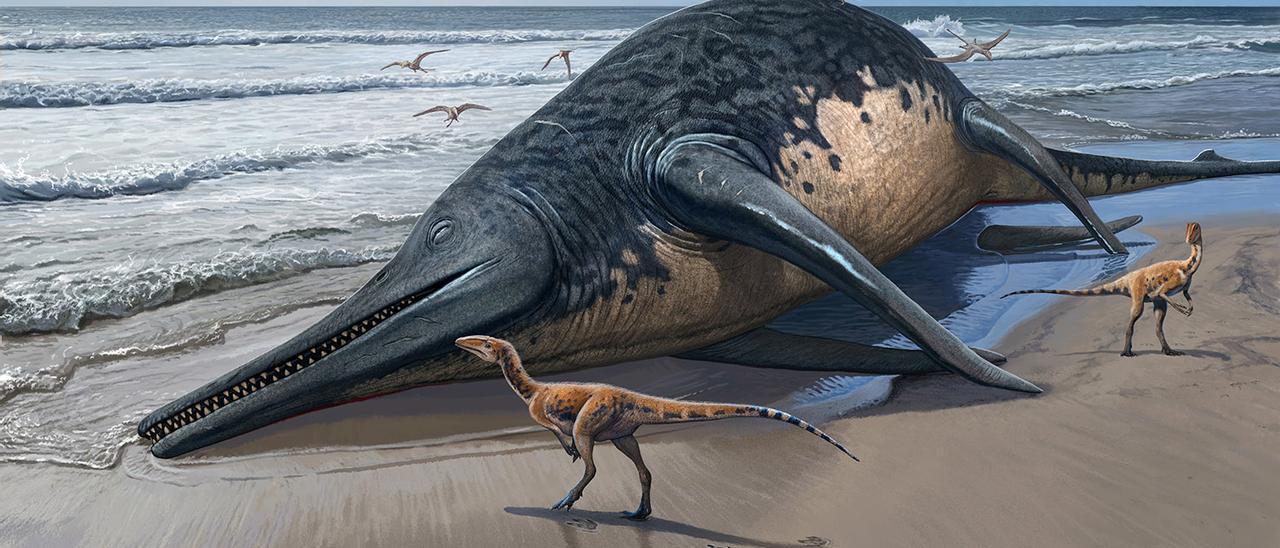 Reconstrucción artística de un 'Ichthyotitan severnensis' varado la playa donde se ha encontrado 250 millones de años más tarde.