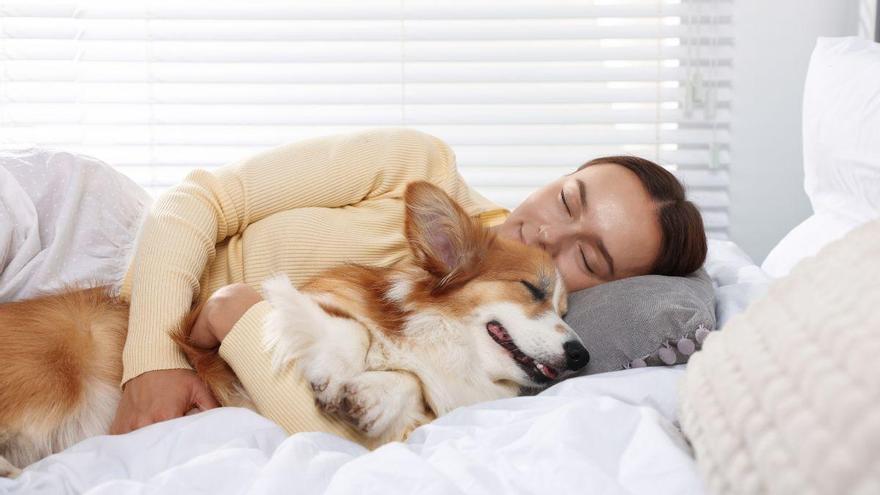 Dormir con tu perro puede ayudarle a vivir más años, según la ciencia: qué dicen realmente los estudios