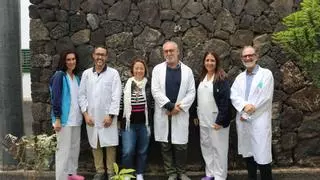 Un estudio del Molina Orosa demuestra que los niveles de anticuerpos crecen con nuevas dosis de la vacuna de la covid-19