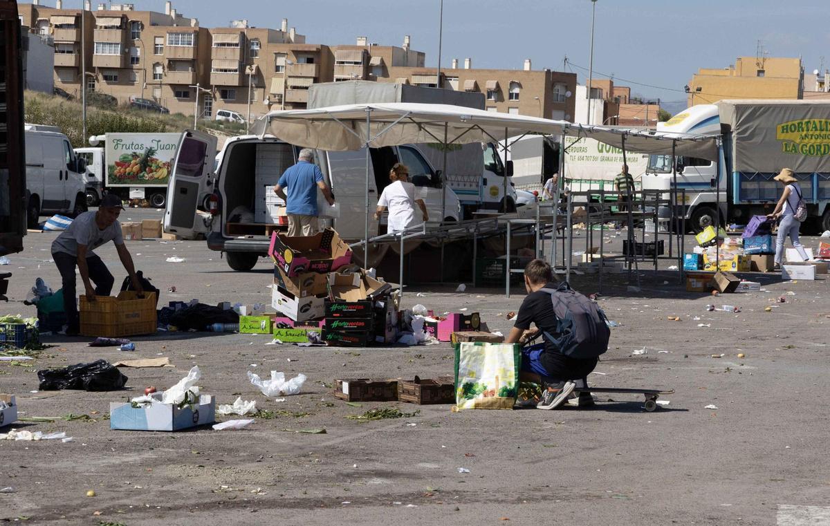 _MGL6507.jpg _MGL6507.jpg