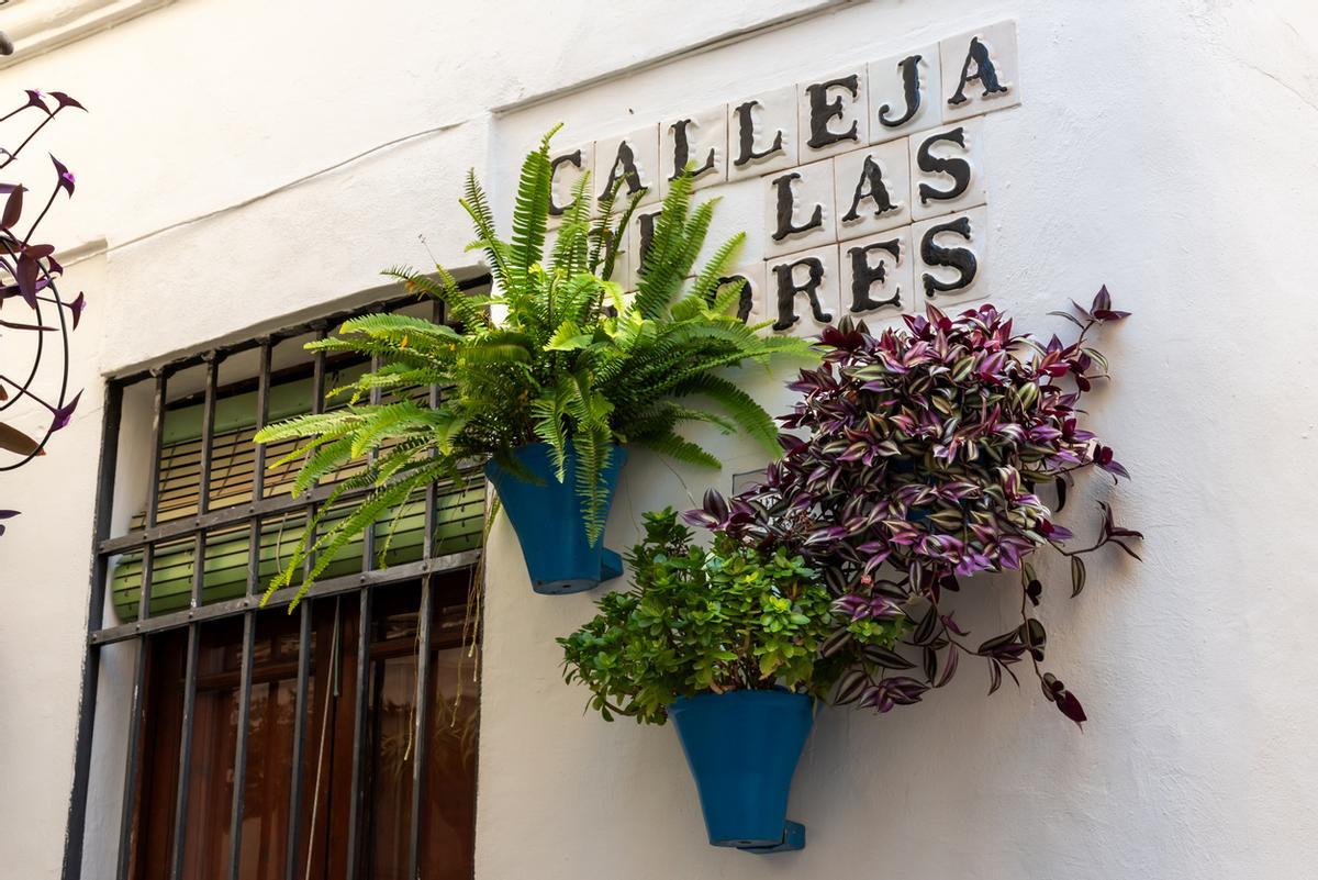 Calleja de las Flores, Córdoba