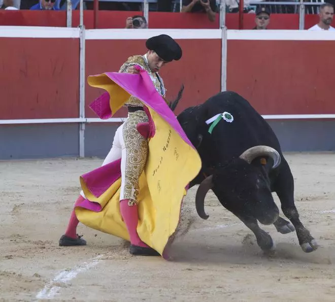Primera novillada de la Feria Taurina del Arroz de Calasparra (Alberto Donaire, Julio Romero y Daniel Moset)