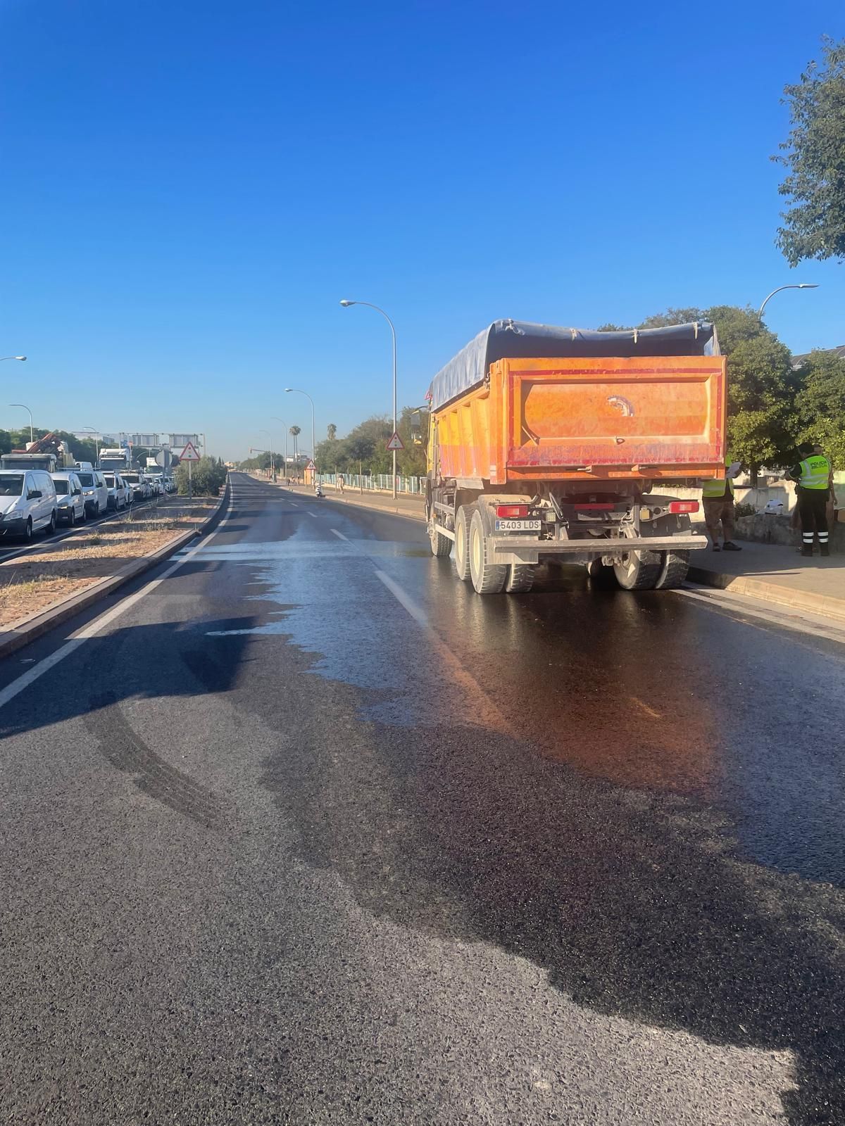 Camión gasoil carretera