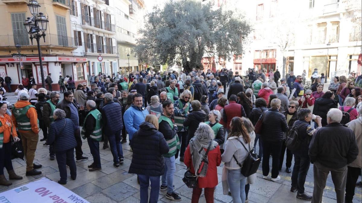 Los manifestantes del pasado domingo se concentraron ante Cort, el Consell y el Consolat.