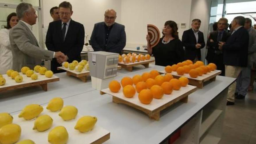 Ximo Puig inaugura en Potries la ampliación de Citrosol
