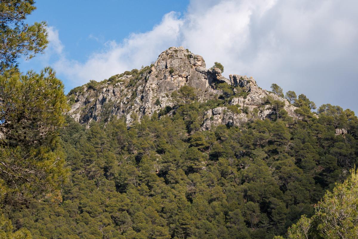Sierra Mariola, en Alicante.