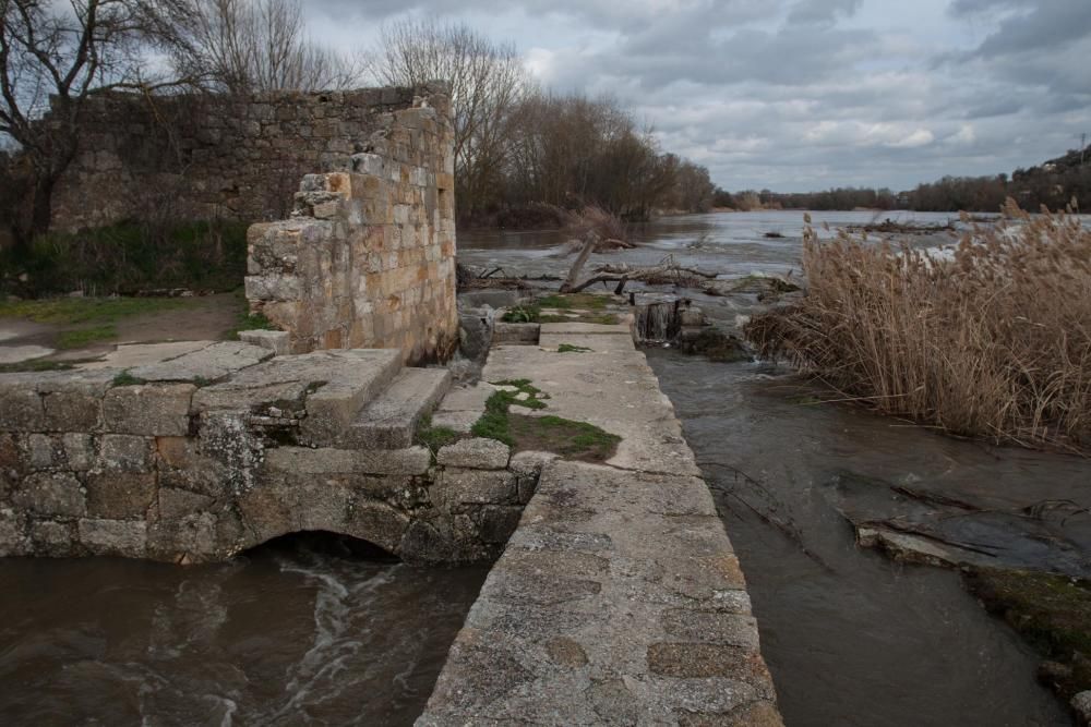 Crecida del Duero en los Pelambres