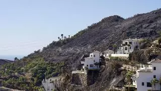 Estabilizado el incendio de Benahavís: regresan todos los desalojados