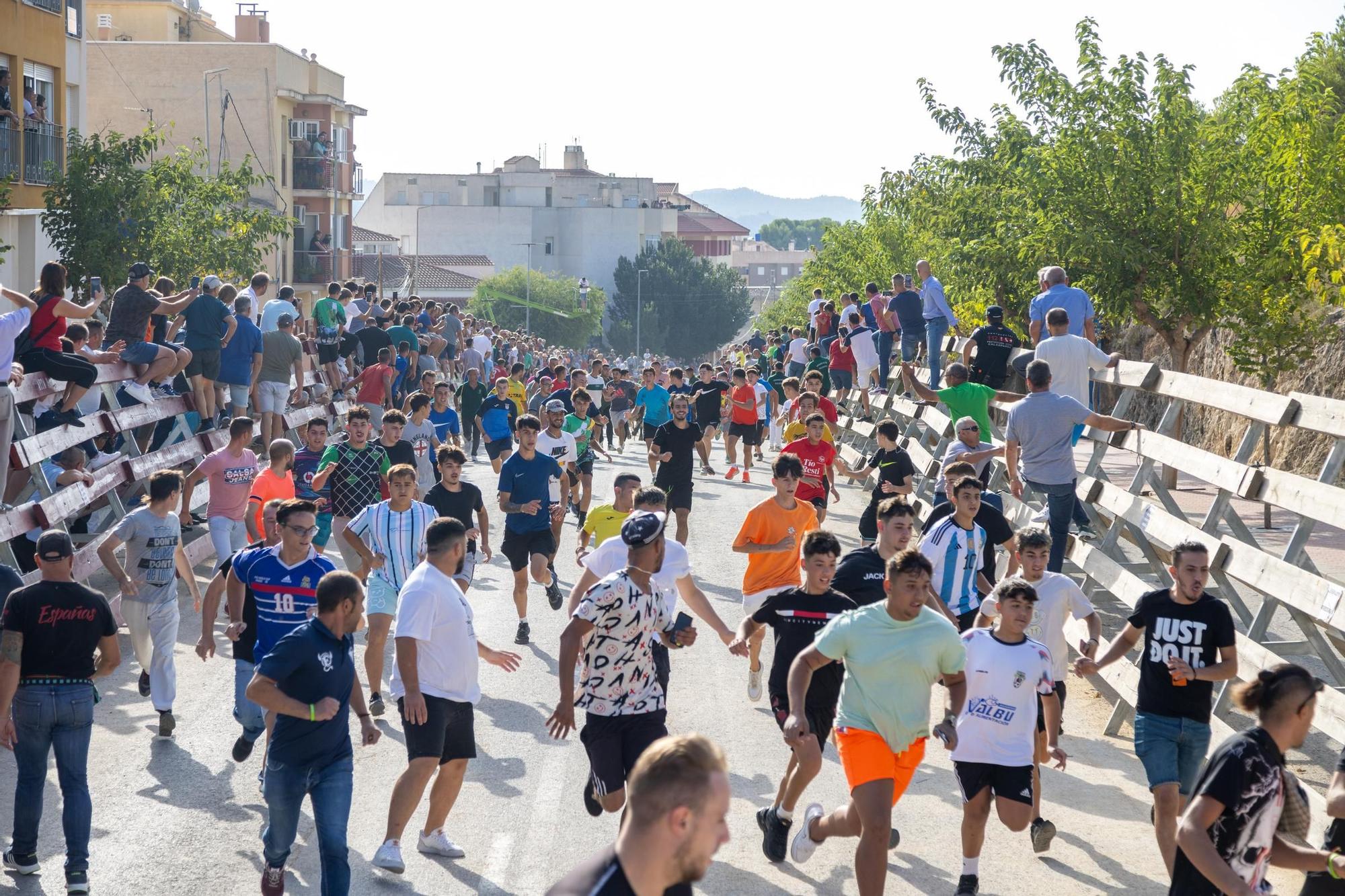 Cuarto encierro de la Feria Taurina del Arroz en Calasparra