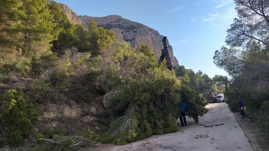 Xàbia crea un cortafuegos de 25 metros de ancho entre las urbanizaciones y el Montgó