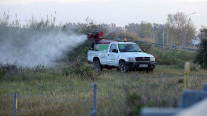 El pasado lunes los técnicos del Ayuntamiento llevaron a cabo la primera fumigación en la zona del Paraje del Guadalhorce.
